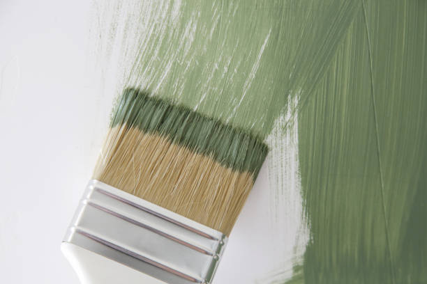 Best Mold Damage Restoration  in Sea Ranch, CA