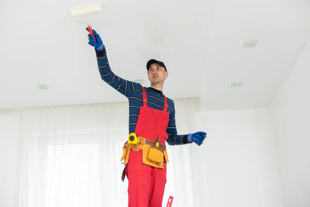 Best Attic Mold Removal  in Sea Ranch, CA